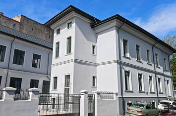 CISMIGIU || STIRBEI VODA VILA INTERBELICA IDEAL CLINICA MEDICALA anunturi imobiliare Bucuresti