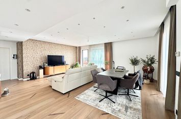 Penthouse with generous terrace, unobstructed view, Primaverii area anunturi imobiliare Bucuresti