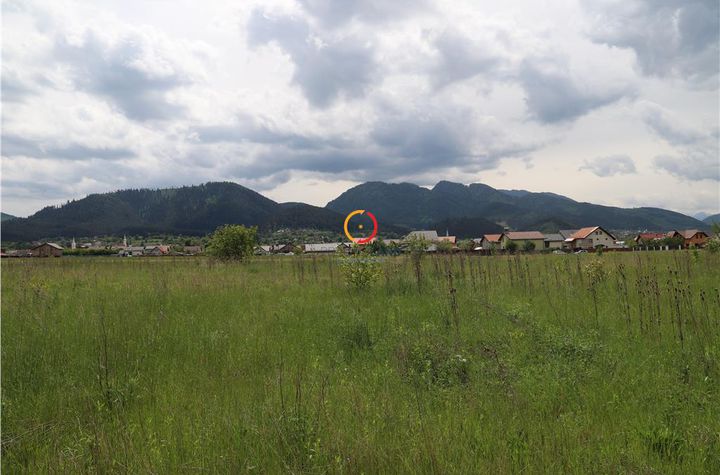 Teren Intravilan de vanzare EXTERIOR EST - Brasov anunturi imobiliare Brasov
