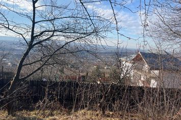 Teren Barnova  ! anunturi imobiliare Iasi