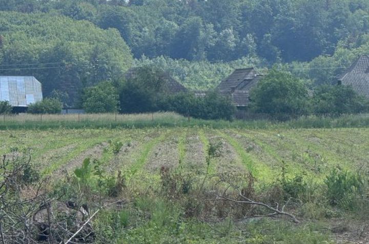 Teren de vanzare MARGINEA - Suceava anunturi imobiliare Suceava