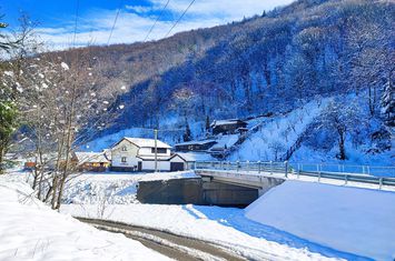 Teren intravilan în Tilișca, zonă montană superba! anunturi imobiliare Sibiu