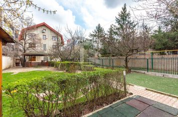 Aviatiei | Smaranda Braescu | Vila reprezentativa de inchiriat anunturi imobiliare Bucuresti