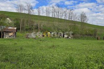 Teren de vanzare CIURILA - Cluj anunturi imobiliare Cluj