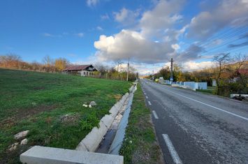 Teren de vanzare BALANESTI - Gorj anunturi imobiliare Gorj