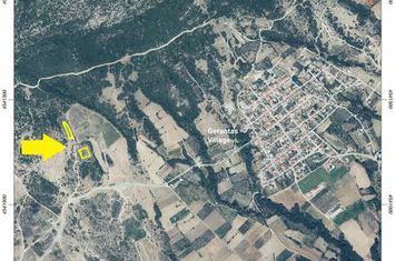 Teren agricol 2.313 mp cu măslini — Gerontas anunturi imobiliare Grecia