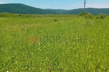 Oportunitate investiție agricolă | 750 ha societate | Județul Arad | anunturi imobiliare Arad