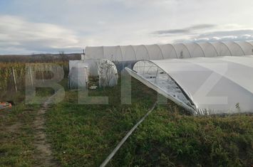 Teren de vanzare ALBA IULIA - Alba anunturi imobiliare Alba
