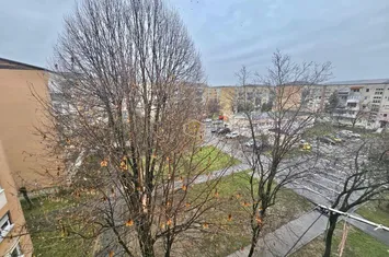 Apartament 3 camere de vanzare MICRO 17 - Satu Mare anunturi imobiliare Satu Mare