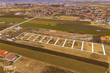 Teren Intravilan de vanzare SUD - Covasna anunturi imobiliare Covasna