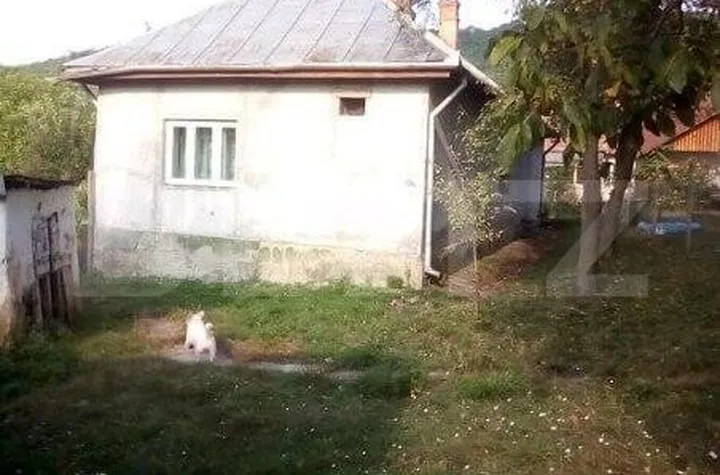 Casă - 2 camere de vanzare COSEIU - Salaj anunturi imobiliare Salaj