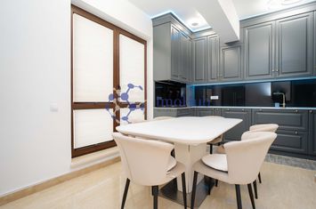 Penthouse exclusivist ultracentral, 220 mp, lift privat, comision 0! anunturi imobiliare Iasi