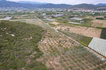 Teren 2.240 mp în Nea Peramos, la 500 m de mare anunturi imobiliare Grecia