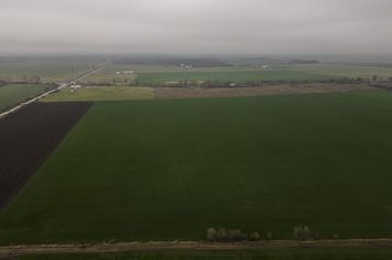 Teren 84000 mp la 20 km de Arad, la DN79 anunturi imobiliare Arad