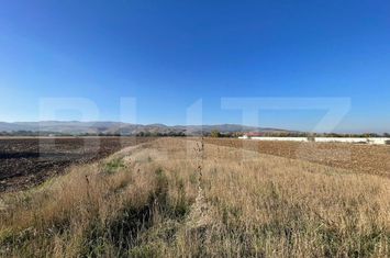Teren de vanzare ALBA IULIA - Alba anunturi imobiliare Alba