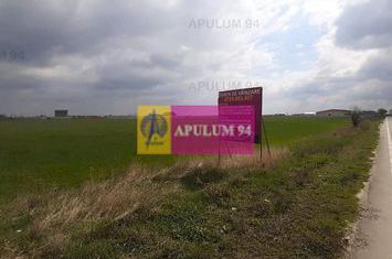 Teren Intravilan  cu front stradal la un Drum Principal langa București anunturi imobiliare Bucuresti