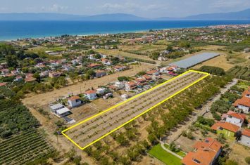 Teren 4972 mp, Paralia Orfaniou, 700 m de mare anunturi imobiliare Grecia