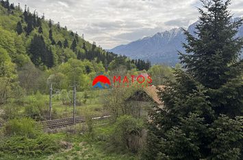Vilă - 14 camere de vanzare BUSTENI - Prahova anunturi imobiliare Prahova