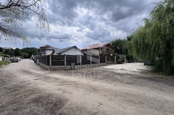 Vila Cernica 4 camere 3 bai,3 terase anunturi imobiliare Bucuresti
