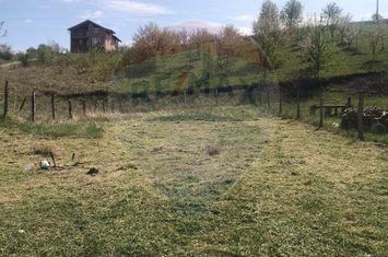 TEREN INTRAVILAN 500 MP DE VANZARE– SURA MARE, JUD. SIBIU anunturi imobiliare Sibiu