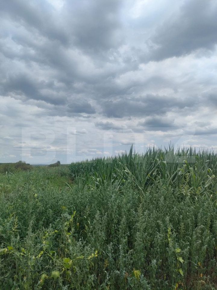 Teren de vanzare HORODNIC - Suceava anunturi imobiliare Suceava