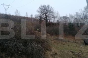 Teren de vanzare ALBA IULIA - Alba anunturi imobiliare Alba