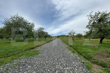 Teren de vanzare BISTRITA - Bistrita-Nasaud anunturi imobiliare Bistrita-Nasaud