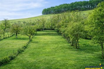 Vilă - 12 camere de vanzare EXTERIOR EST - Brasov anunturi imobiliare Brasov