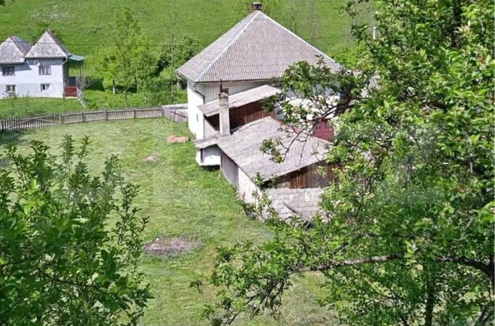 Vilă - 3 camere de vanzare INTREGALDE - Alba anunturi imobiliare Alba