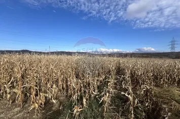 Teren extravilan agricol de vânzare - Selimbar Sibiu anunturi imobiliare Sibiu