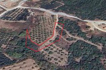 Teren 1937 mp în Agios Andreas (Kavala) anunturi imobiliare Grecia
