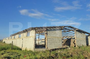 Teren de vanzare CHERIU - Bihor anunturi imobiliare Bihor