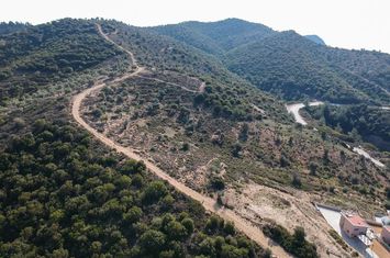Teren construibil 6950 mp în Skala Marion, Thassos anunturi imobiliare Grecia