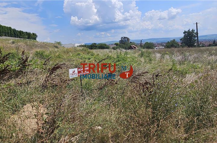 Teren Intravilan de vanzare CETATE - Alba anunturi imobiliare Alba