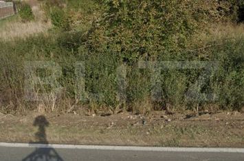 Teren de vanzare REMETEA MARE - Timis anunturi imobiliare Timis