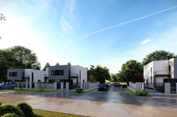 Vilă - 4 camere de vanzare SANANDREI - Timis anunturi imobiliare Timis