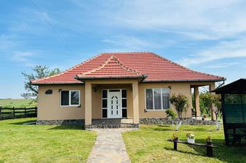 Casă - 3 camere de vanzare GHENETEA - Bihor anunturi imobiliare Bihor