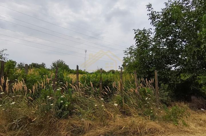 Teren Intravilan 530mp, str SF Agnes, oras Popesti Leordeni, acces Str Scolii anunturi imobiliare Bucuresti