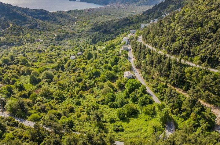 Teren construibil 2.177 mp în Panagia, Thassos anunturi imobiliare Grecia