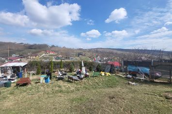 Teren de vanzare REDIU - Iasi anunturi imobiliare Iasi