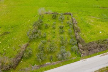 Teren agricol 812 mp în Mesotopos (Kavala) anunturi imobiliare Grecia