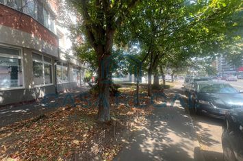 Spatiu comercial, 60mp utili, Iosia Nord - Lidl, Penny, Hotel Nevis anunturi imobiliare Bihor