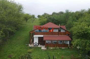 Casă - 5 camere de vanzare CETATE - Alba anunturi imobiliare Alba