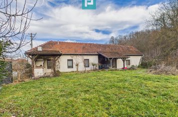 Casă deosebită la Urvişu de Beliu anunturi imobiliare Arad