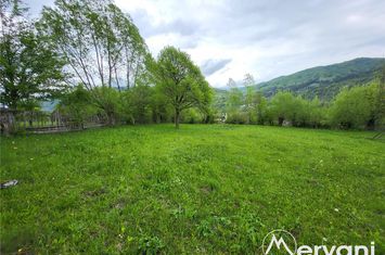 Teren Intravilan de vanzare VALEA DOFTANEI - Prahova anunturi imobiliare Prahova