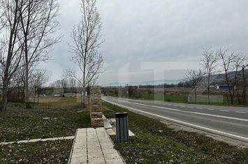 Teren de vanzare RAHAU - Alba anunturi imobiliare Alba