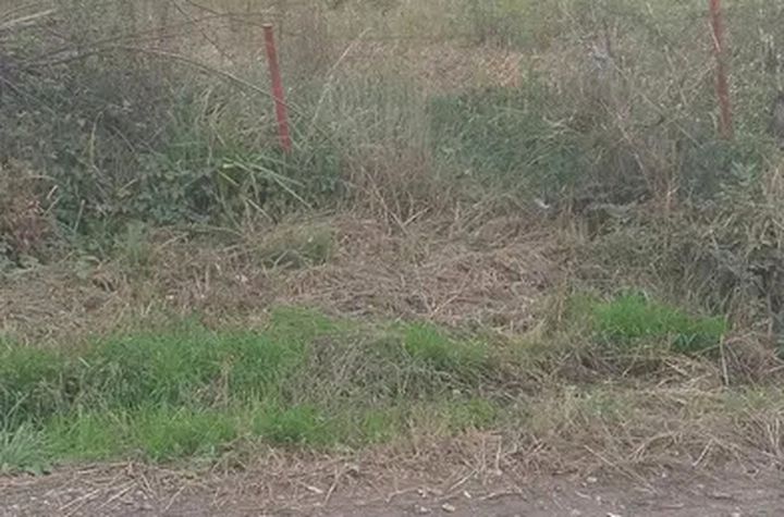 Teren de vanzare CISNADIOARA - Sibiu anunturi imobiliare Sibiu