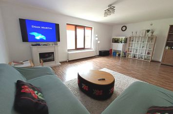 Vilă - 5 camere de vanzare BRADU - Arges anunturi imobiliare Arges
