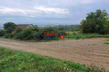 Teren Intravilan de vanzare CETATE - Alba anunturi imobiliare Alba