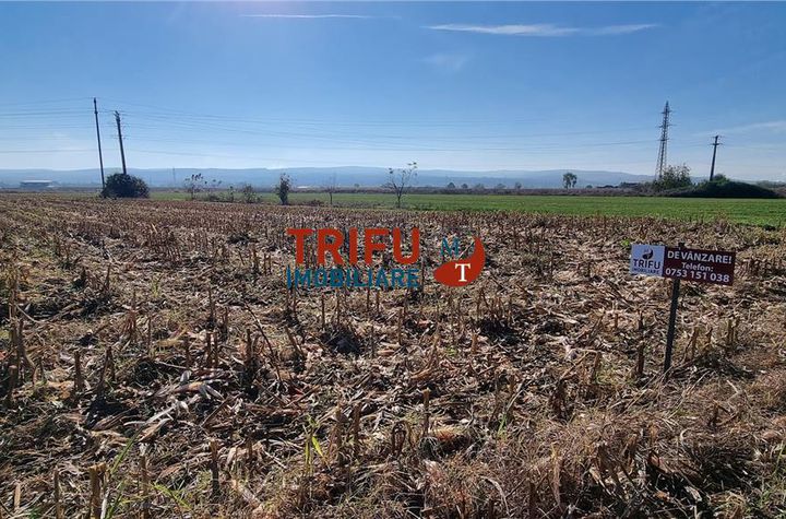 Teren Intravilan de vanzare CENTRAL - Alba anunturi imobiliare Alba